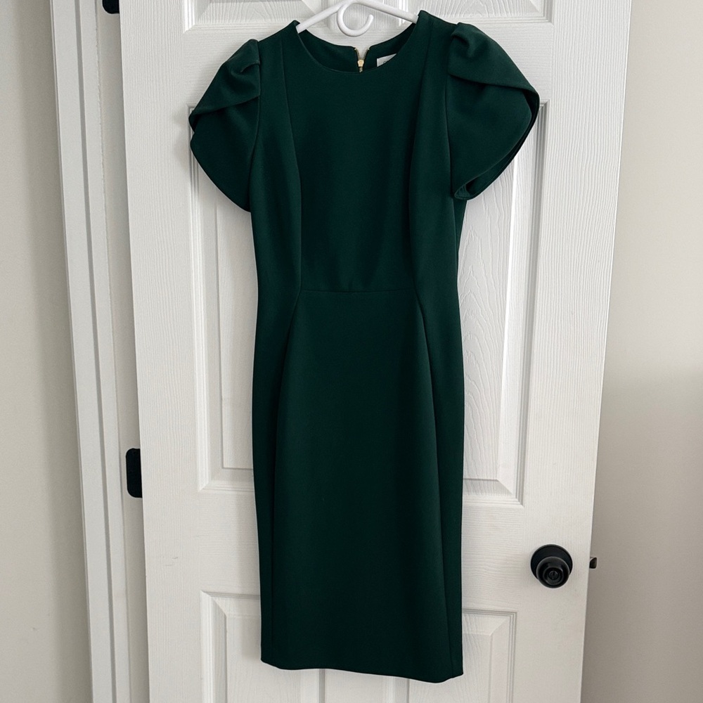 Calvin Klein Forrest Green Elegant Dress